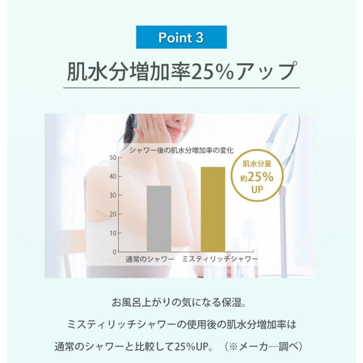 シャワーヘッド ナノバブル ミスティリッチシャワー SH220-2T グレー