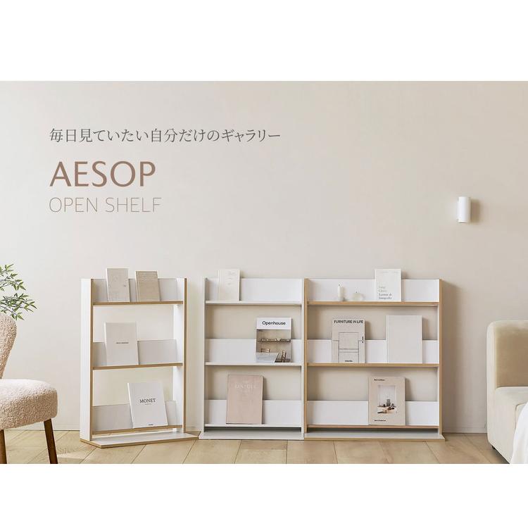 絵本棚/オープンシェルフ　オーダーメイド オーダーメイド 職人手作り 書棚 本棚 収納棚 オープンシェルフ 家具