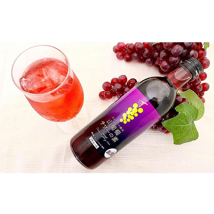 サワーの素 4本 詰合せセット ギフトセット 500ml リキュール サワー