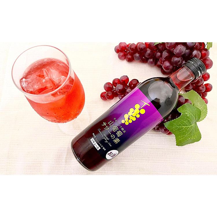 オホーツク 網走 山葡萄サワーの素 1ケース 500ml 12本 リキュール