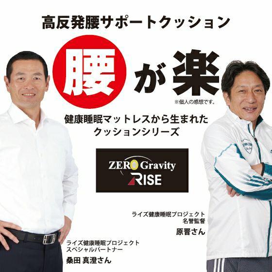 ファイバー 腰サポートクッション 腰が楽 ライズ RISE 健康睡眠 高反発