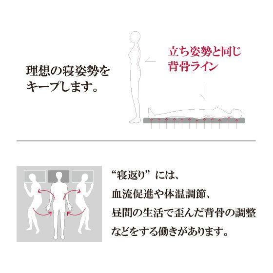 ベッドマットレス兼用極厚敷布団 ライズゼログラビティ 12.5 ベッドマットレス兼用極厚敷布団 ライズゼログラビティ 12.5