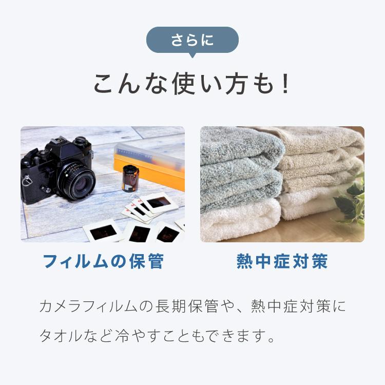 消臭ゴミ箱 冷やすゴミ箱 ふた付き クリーンボックス サンカ 20L 一般家庭用腐敗防止機 SANKA CLEAN BOX SCB-020S NCB1-B20-S 省エネ 保冷 代引不可 【研磨】