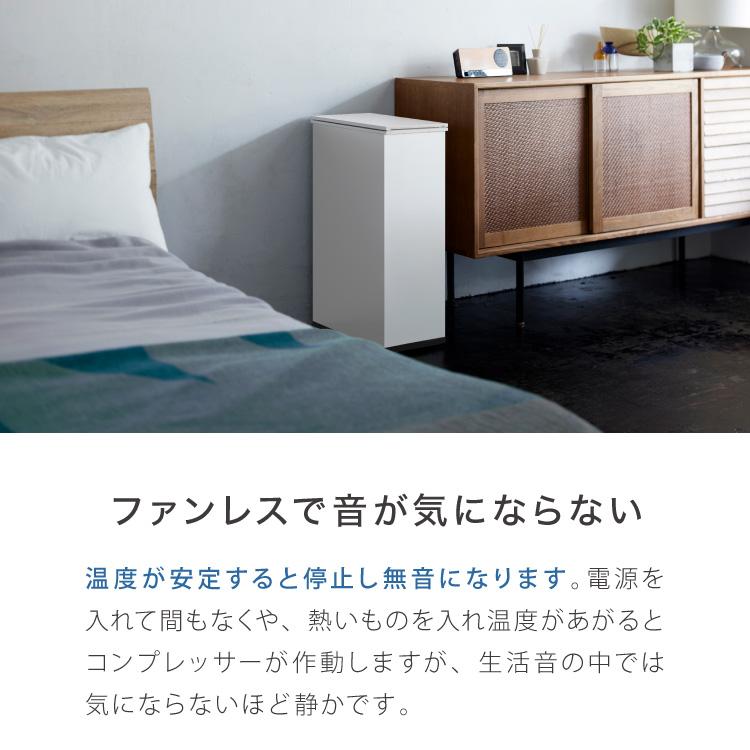 消臭ゴミ箱 冷やすゴミ箱 ふた付き クリーンボックス サンカ 20L 一般家庭用腐敗防止機 SANKA CLEAN BOX SCB-020S NCB1-B20-S 省エネ 保冷 代引不可 【研磨】