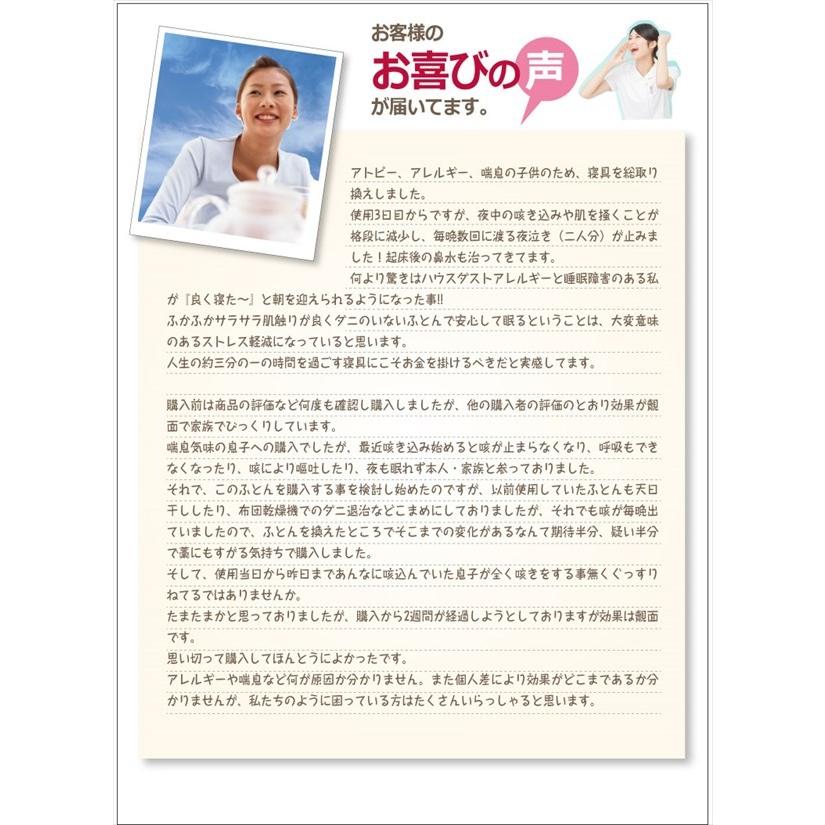 ベッドシーツ シーツ ボックスシーツ シングル 綿100% 防ダニ加工 ダニゼロック.S.P ストライプ柄 単品 シングル 代引不可の画像