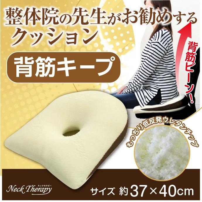 整体院の先生がお勧めする クッション 背筋キープ 約37×40cm 低反発