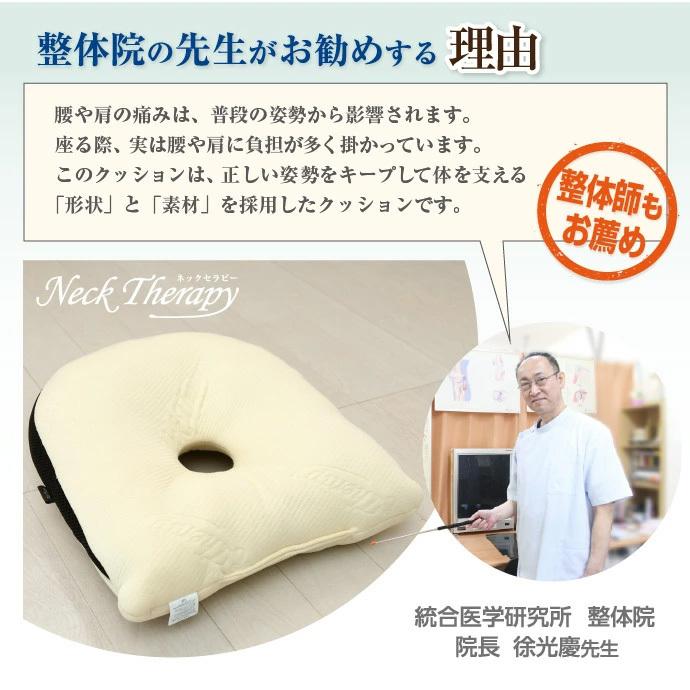 整体院の先生がお勧めする クッション 背筋キープ 約37×40cm 低反発