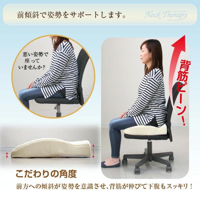 整体院の先生がお勧めする クッション お尻にフィット 約41×41cm 低