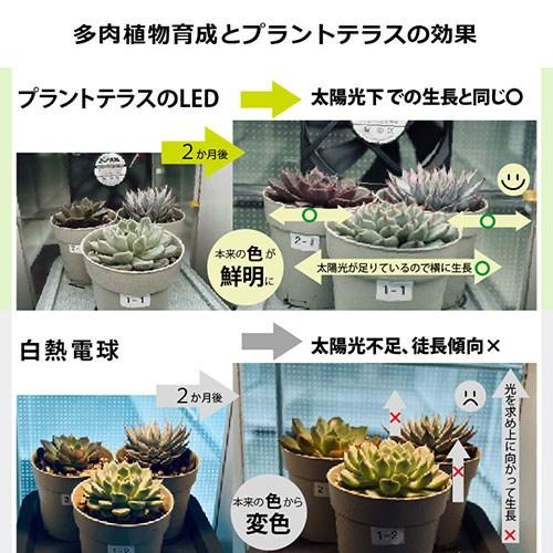 トライテラス 植物育成ライト プラントテラス580 長さ58cm 太陽光に