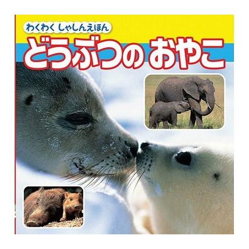 COSMOS コスモス わくわくしゃしんえほん のりもの・どうぶつ 4巻セット CSSNRDB4 代引不可｜recommendo｜04