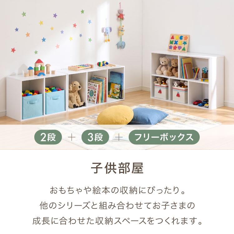 カラーボックス 2段 可動棚 2個セット A4 テレビ台 幅42 奥行29 高さ60