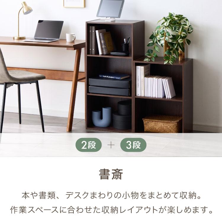 カラーボックス 2段 可動棚 2個セット A4 テレビ台 幅42 奥行29 高さ60
