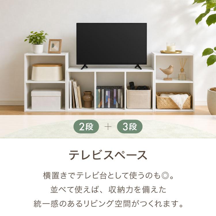 カラーボックス 2段 可動棚 2個セット A4 テレビ台 幅42 奥行29 高さ60