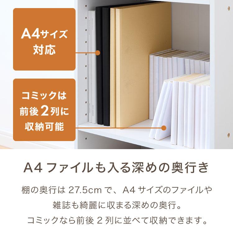 カラーボックス 2段 可動棚 2個セット A4 テレビ台 幅42 奥行29 高さ60