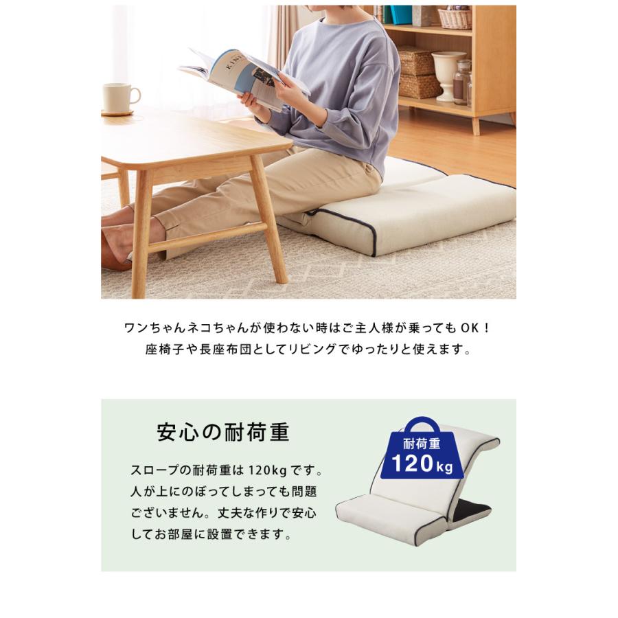 リコメン堂 ペットスロープ 幅60cm 14段階高さ調節可能 介護