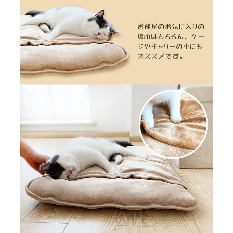 ペットベッド ペットクッション わた増量 Sサイズ あったか 冬 フランネル クッション 布団 ペット布団 犬用 猫用 猫 犬ベッド 猫ベッド 犬 猫 ペット ベッド B8 Cat 010 S リコメン堂 通販 Yahoo ショッピング