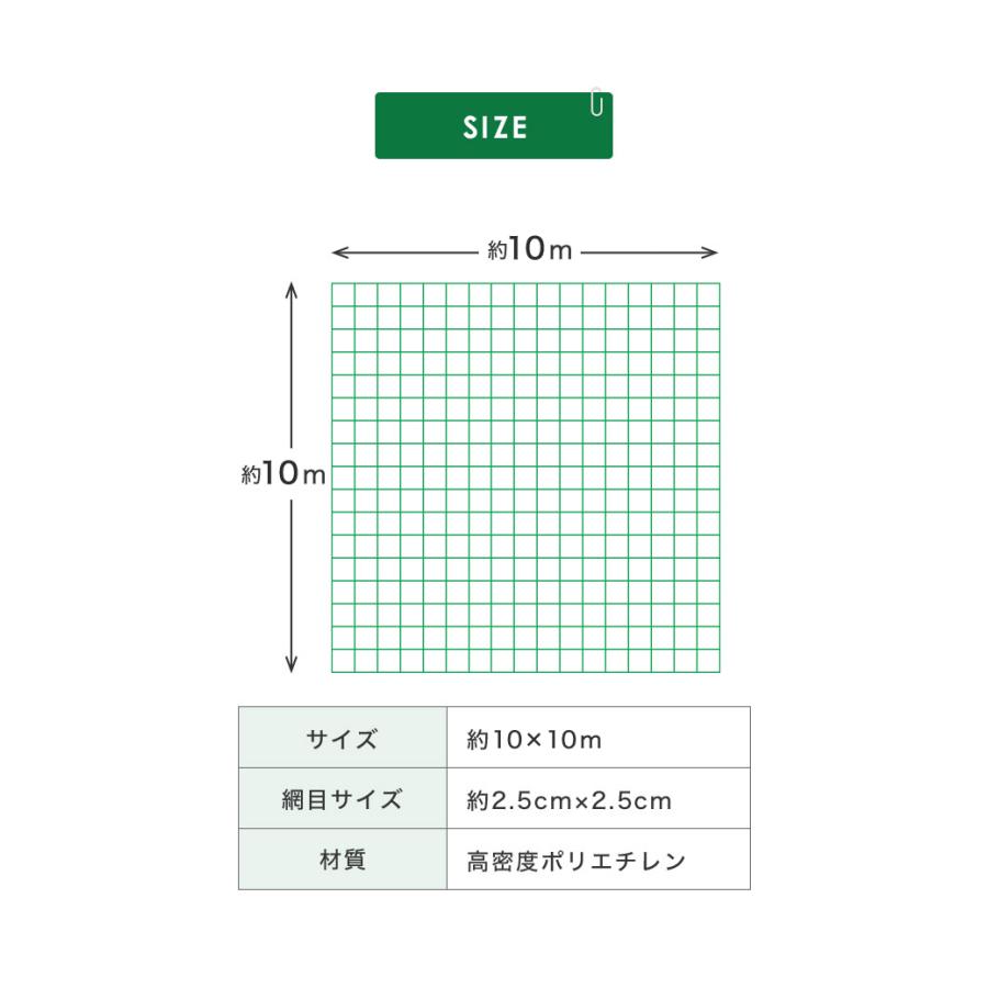 バックネット 野球 10×10m 網目2.5cm グリーン 防球ネット バックネット 野球 10×10m 網目2.5cm グリーン 防球ネット