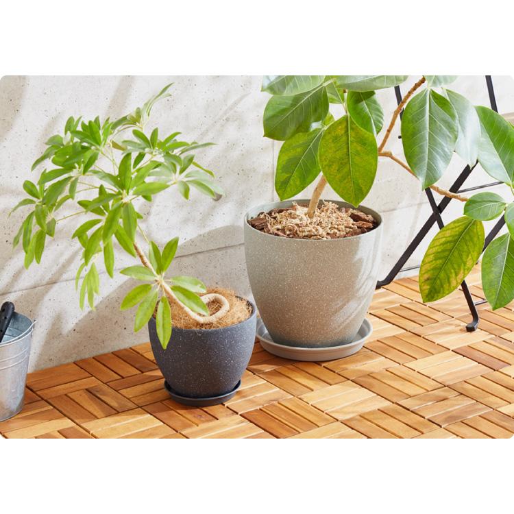 リコメン堂 植木鉢 鉢 直径23cm 8号 おしゃれ モダン ガーデニング