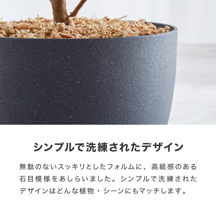 リコメン堂 植木鉢 鉢 直径23cm 8号 おしゃれ モダン ガーデニング