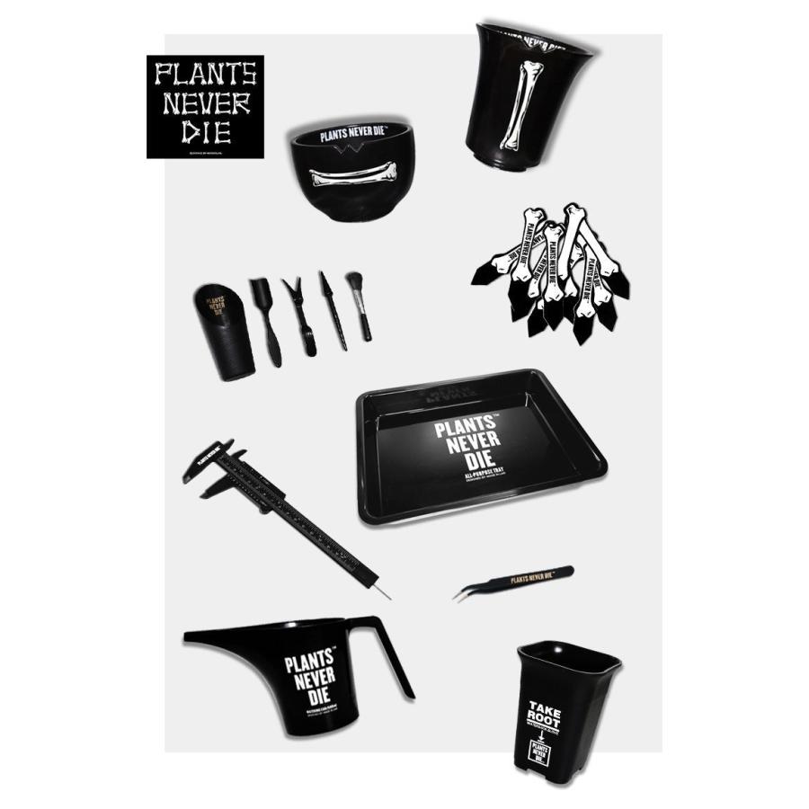 リコメン堂 plants never die 正規販売店 骨平鉢 W12.7cm×H9cm