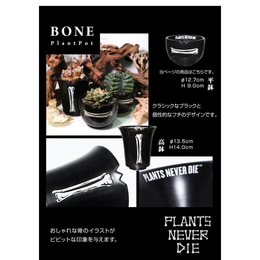 陶器鉢2個セット plants never die