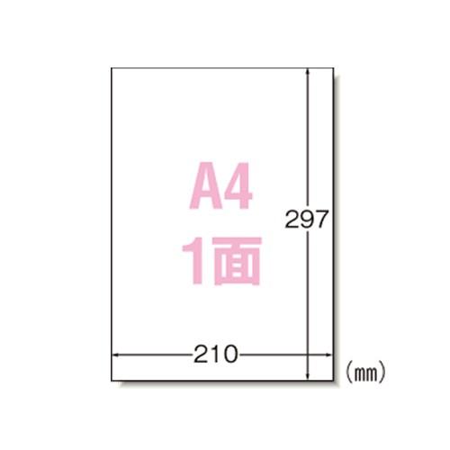 エーワン マルチプリンタラベル ノーカット 1000シート入 1 箱 31151 文房具 オフィス 用品