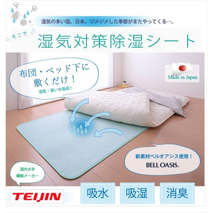 TEIJIN（テイジン） 帝人 ベルオアシス BELLOASIS 日本製 除湿マット