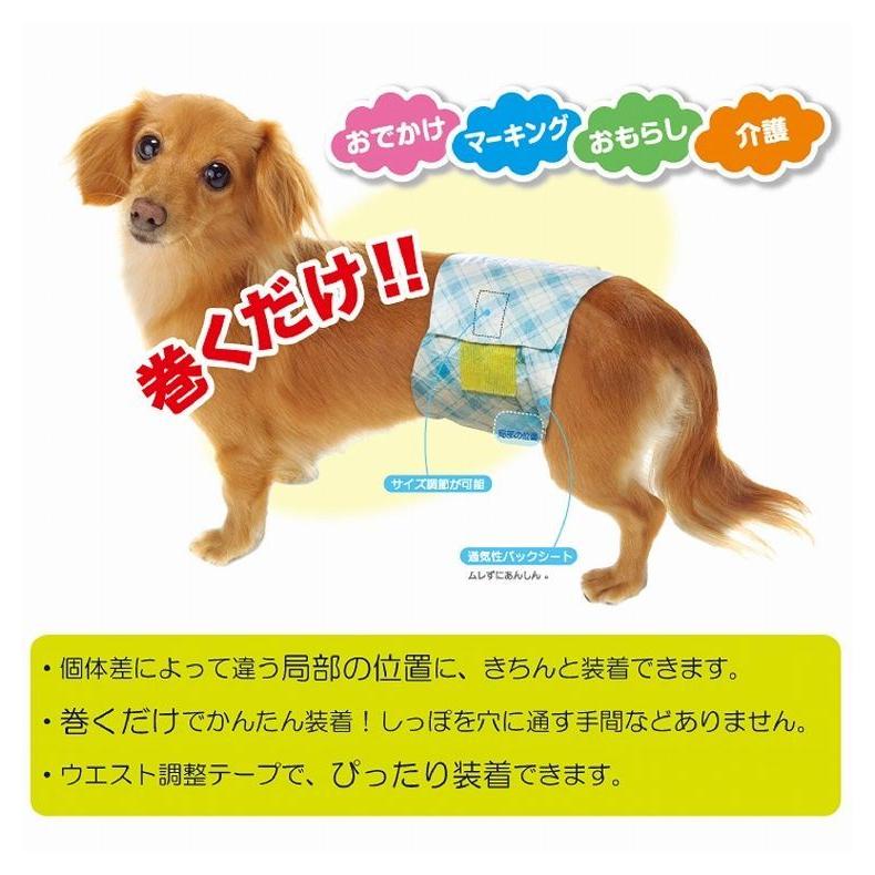 第一衛材 男の子のためのマナーおむつ おしっこ用 ビッグパック 小