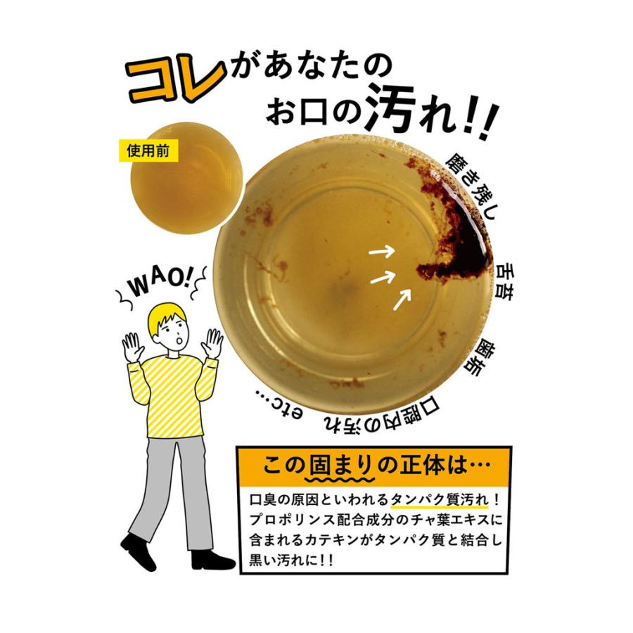 10本セット プロポリンス 抹茶 600ml マウスウォッシュ 口臭ケア 歯 歯茎 オーラルケア｜recommendo｜04