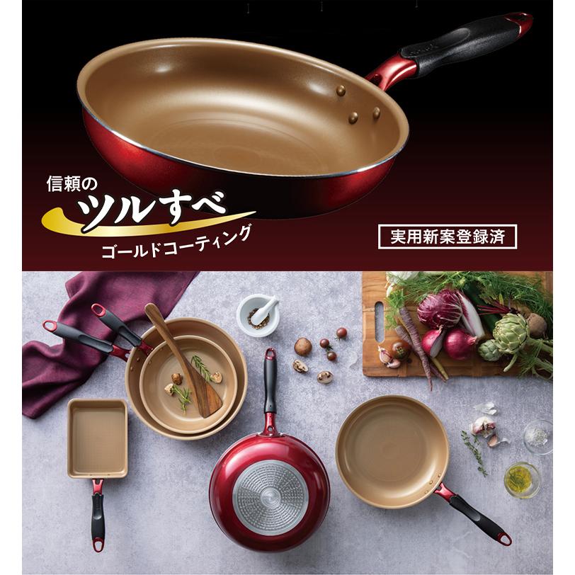 エバークック アルファ evercookα フライパン 22cm ガラス蓋セット IH