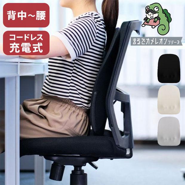 マッサージ器 まるでカメレオンシリーズ KSM-2401 実はこっそり