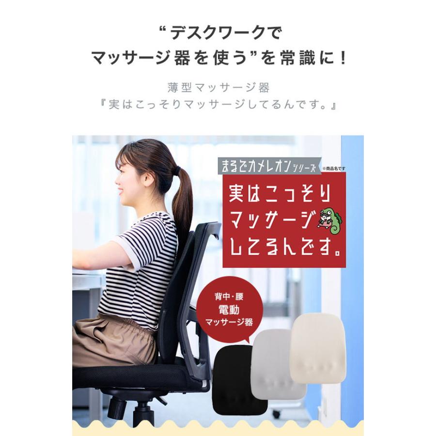 マッサージ器 まるでカメレオンシリーズ KSM-2401 実はこっそり