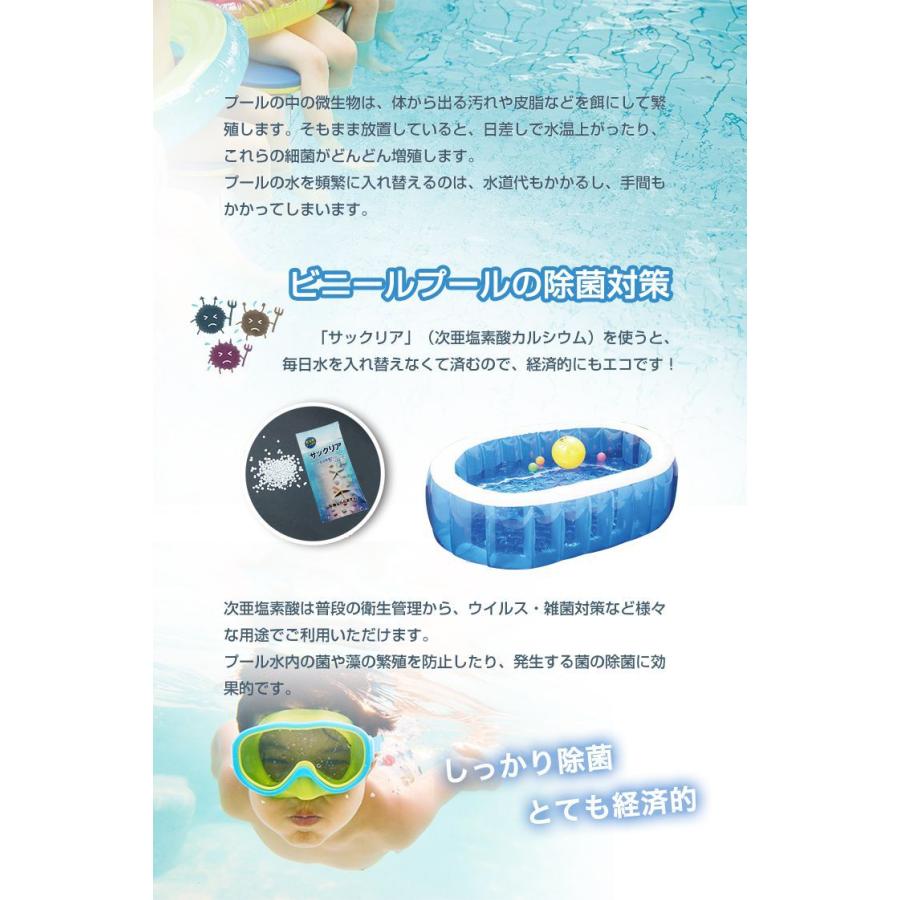 プール塩素消毒剤 顆粒 10g×10袋入り ビニールプール 家庭用プール 