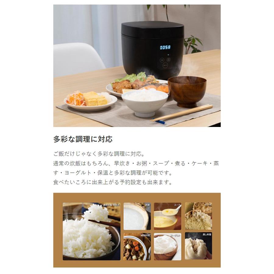 4合 炊飯器 ブラウン RM-200H BR 炊飯ジャー 白米 お米 グルメ炊き