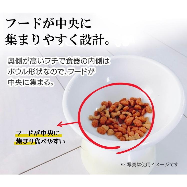 スケーター 短頭犬用 食器 陶磁器製 ペット餌入れ 幅広 マット付 アイボリー CHOB3 大学 共同開発 ペット 犬 猫 食器 餌 ごはん 餌箱 エサ入れ お皿｜recommendo｜05