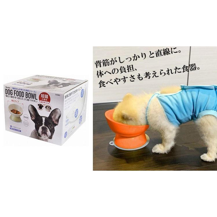スケーター 短頭犬用 食器 陶磁器製 ペット餌入れ 幅広 マット付 ミント Chob3 ペット 犬 優しい 餌箱 軽減 エサ入れ お皿 餌 負担 体 ごはん 猫 サービス
