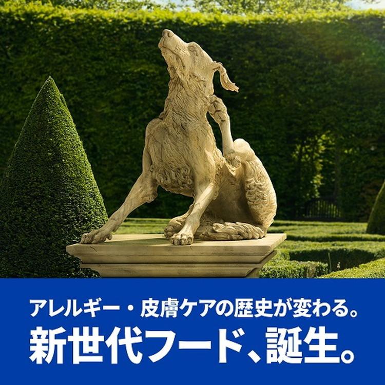 12個セット ヒルズ 犬用 オールスキンバリア 缶 200g プリスクリプション PRESCRIPTION DIET 食事療法食 Hill's_3