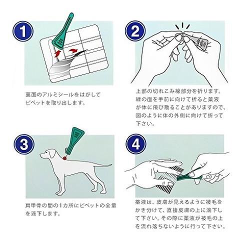ドッグ S（5〜10kg未満） 【】 8本入×3箱】(フロントライン 🎾 プラス