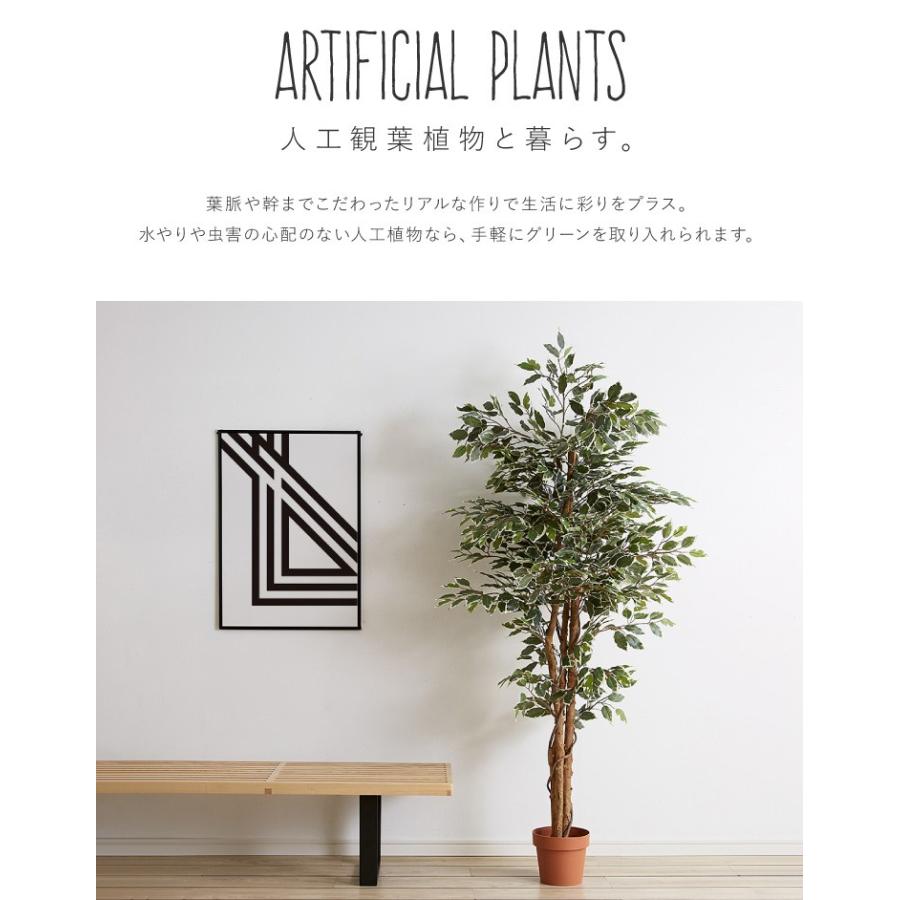 人工観葉植物 フィカス ハイタイプ ゴムの木 フェイクグリーン インテリアグリーン 造花 観葉植物 人工 フェイク グリーン 代引不可｜recommendo｜07