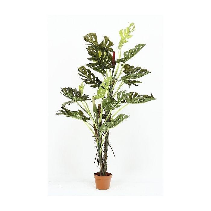 観葉植物 スプリット W800×D800×H1400mm ポリスチレン樹脂 ワイヤー 木材 おしゃれ 代引不可