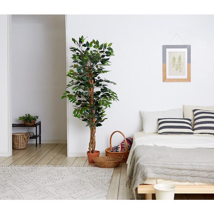 人工観葉植物 フィカス ロータイプ ゴムの木 フェイクグリーン インテリアグリーン 造花 観葉植物 人工 フェイク グリーン 代引不可 | ブランド登録なし | 08