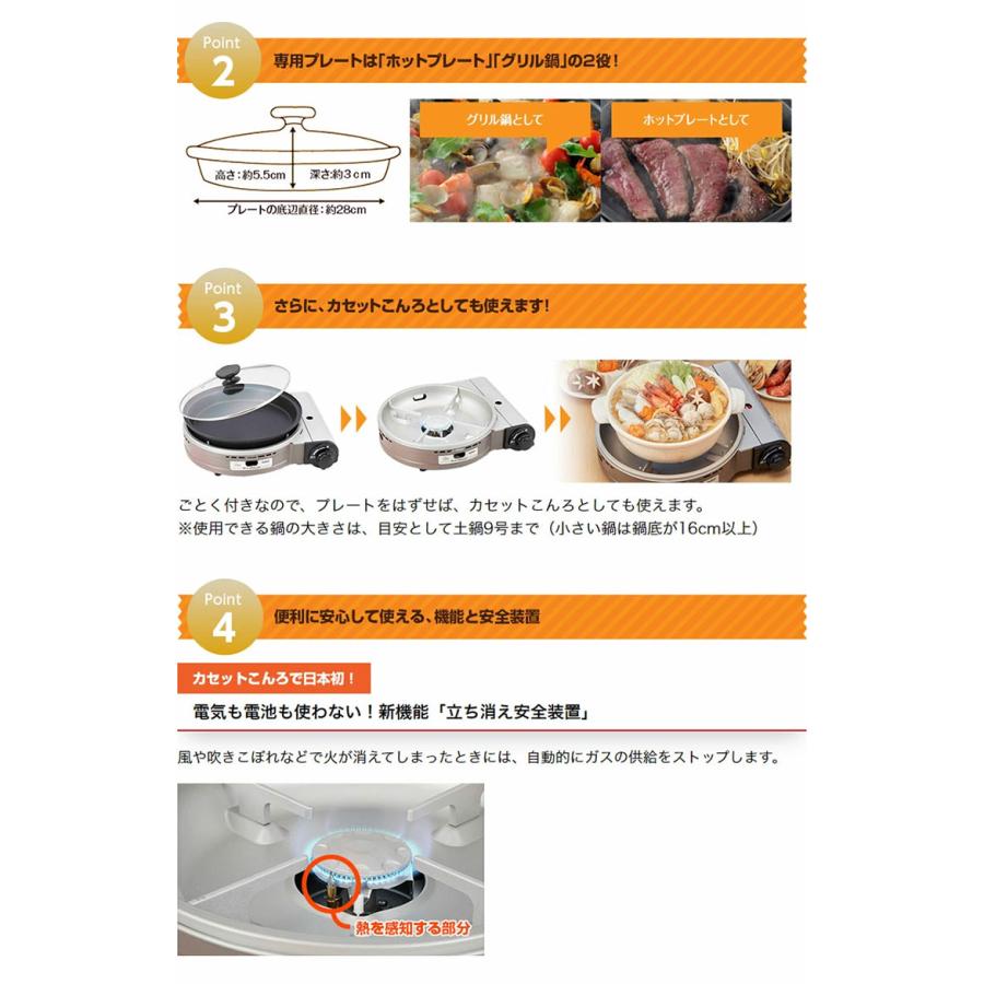 イワタニ カセットガスグリルパン ビストロの達人3 限定色 ブラック