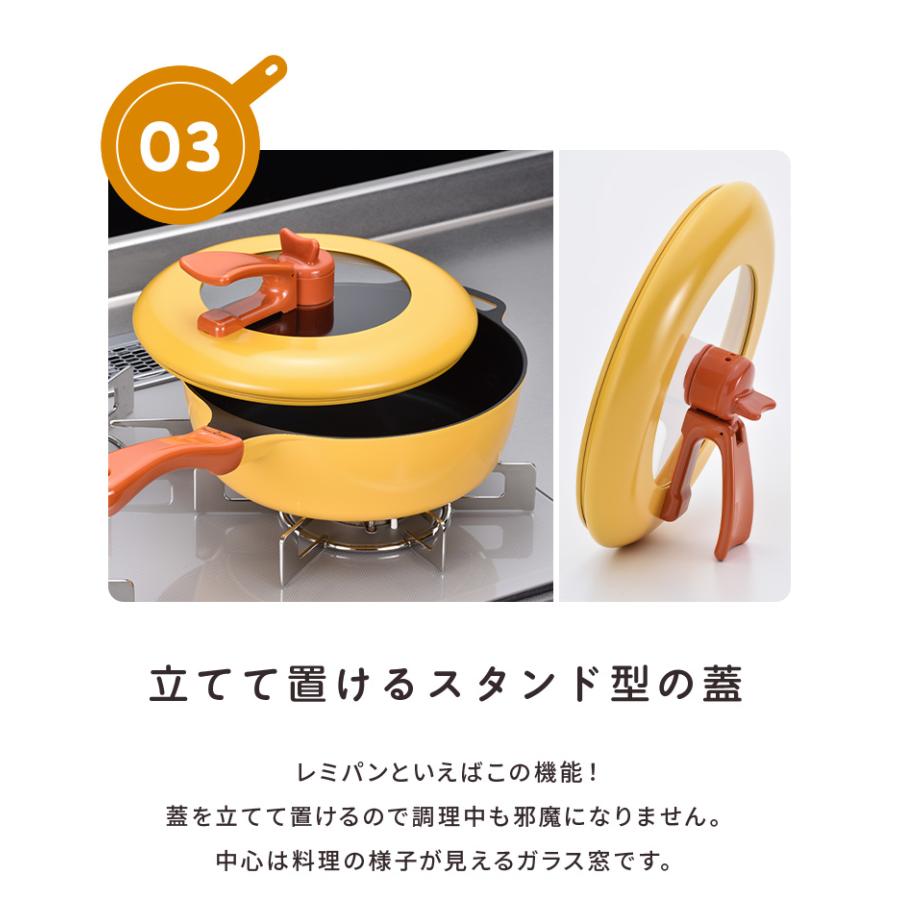 レミパンセット 24cm ノッポ蒸し台付き レミパン 平野レミ ガラス蓋