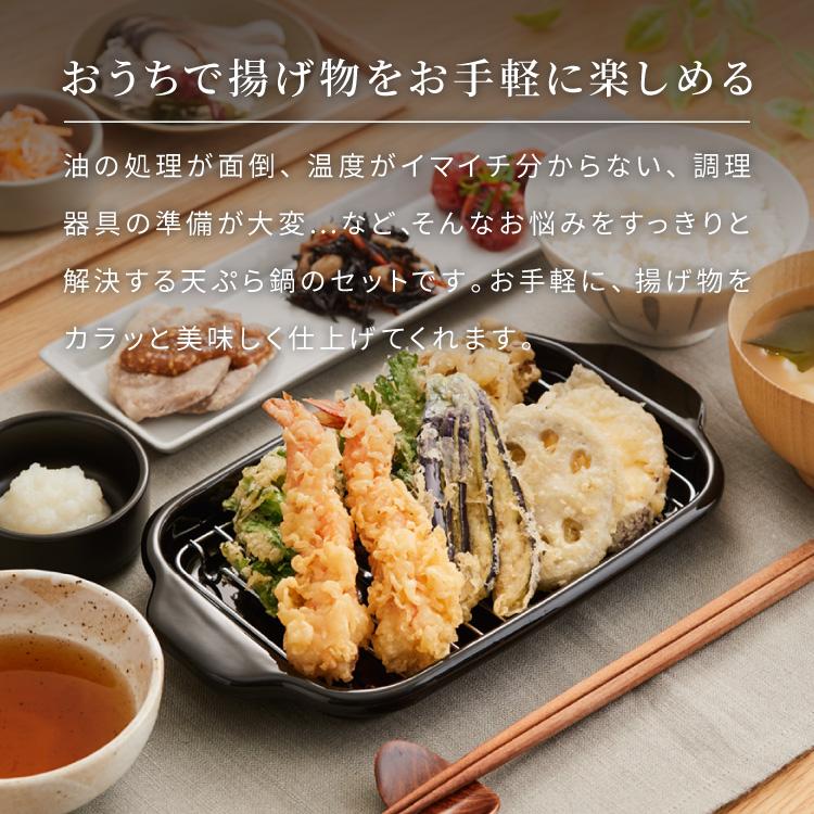 揚げ物鍋と網目フライヤーセット 富士ホーロー 角型天ぷら鍋 ワイド フライヤーネットセット IH
