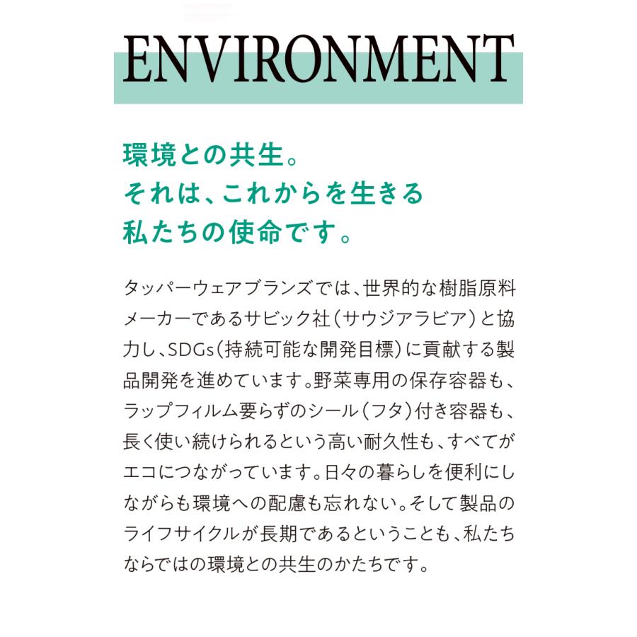 タッパーウェア ミニデコレーター 2個セット 密封 密封 保存容器 タッパー 560ml 食洗機対応 茶葉 紅茶 コーヒー キャニスター キムチ ストッカー｜recommendo｜15