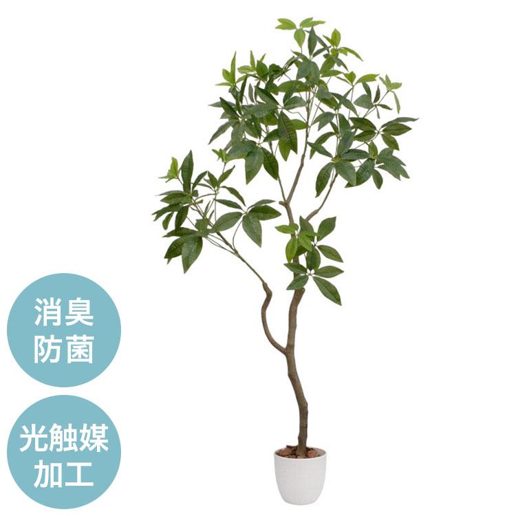 光触媒 インテリア グリーン パキラ 人工観葉植物 フェイクグリーンインテリア 飾り 室内 屋内 オフィス リビング 玄関 大型 造花 おしゃれ 風水 代引不可（Yahoo!・リコメン堂）