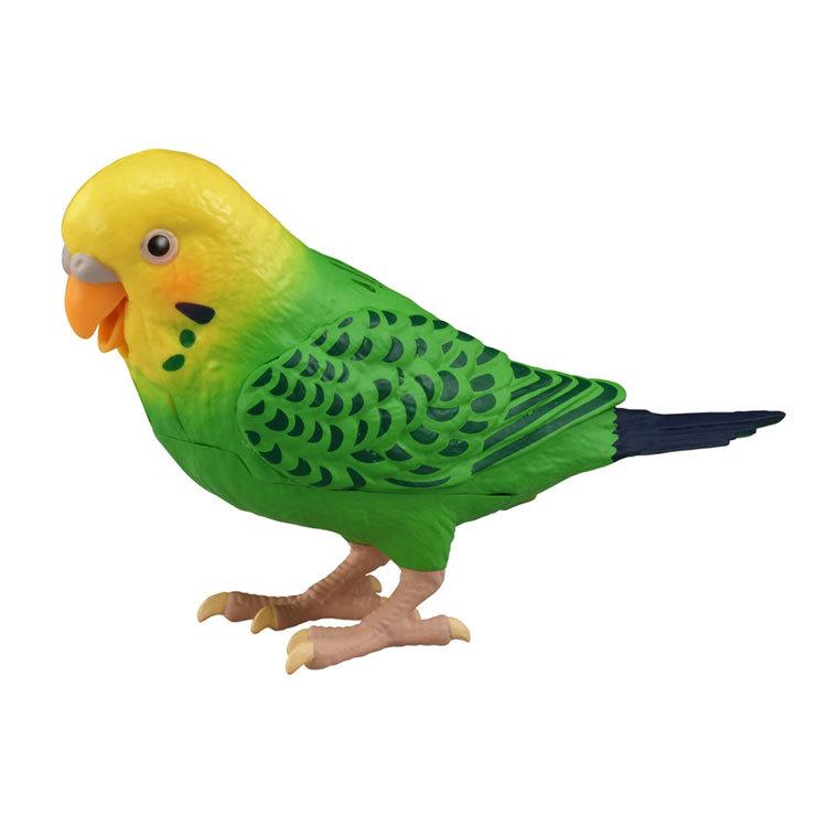 日本全国送料無料 タカラトミー ヒーリングパートナー 毎日おしゃべり天才インコちゃん 100 の保証 Iniciatupyme Cl