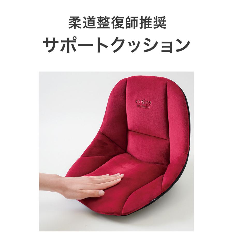 サポートクッション 1個入り 柔道整復師推奨 座椅子 姿勢矯正 疲れ