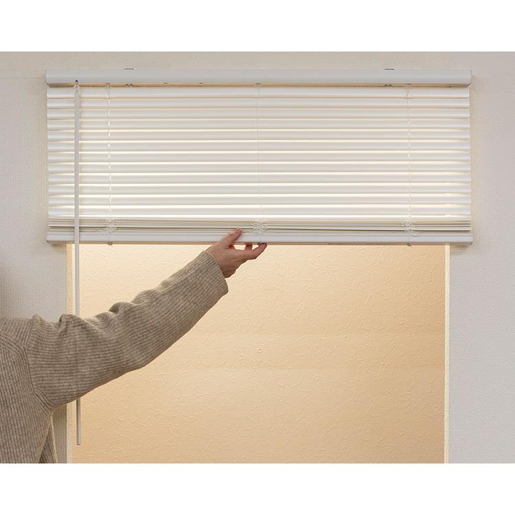 フレキシブラインド25 165×98cm ブラインド カーテンレール 取付可能