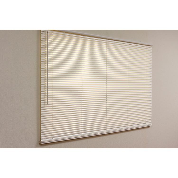 フレキシブラインド25 165×98cm ブラインド カーテンレール 取付可能